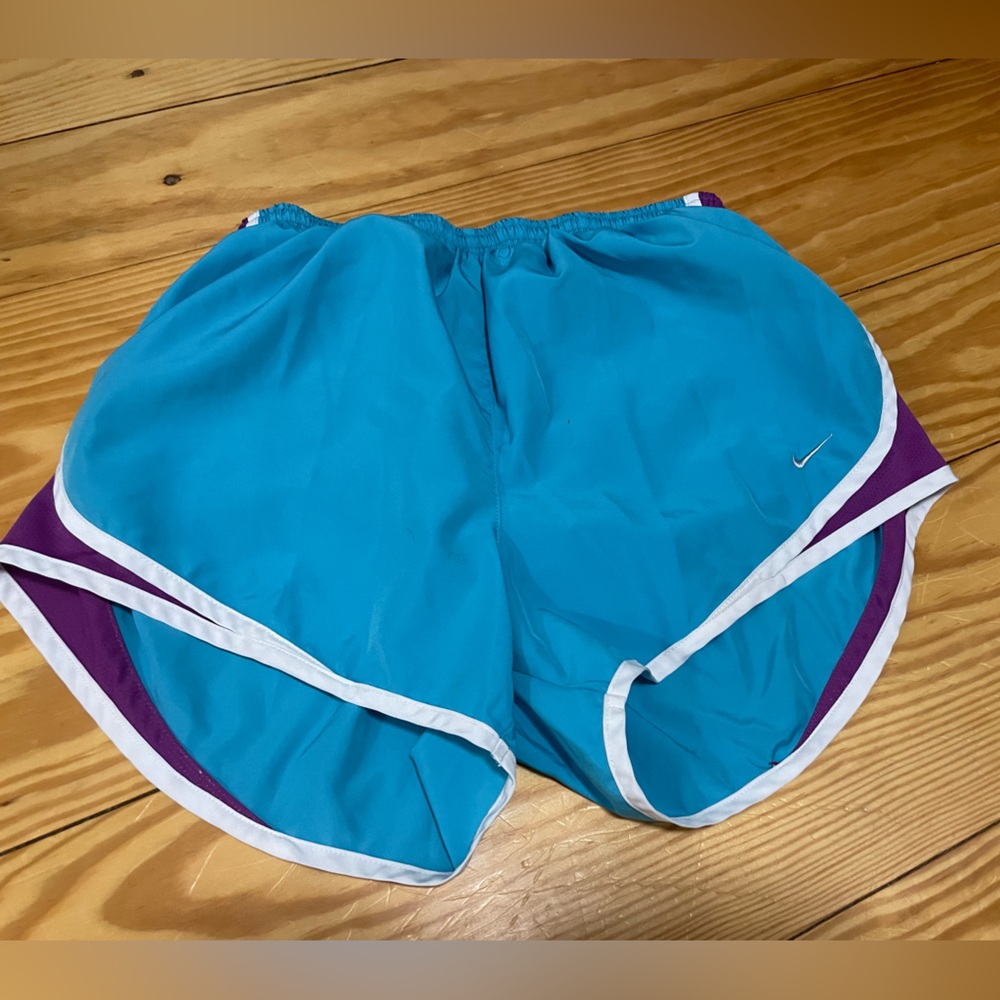 Nike Shorts Purple and Blue Women’s Medium